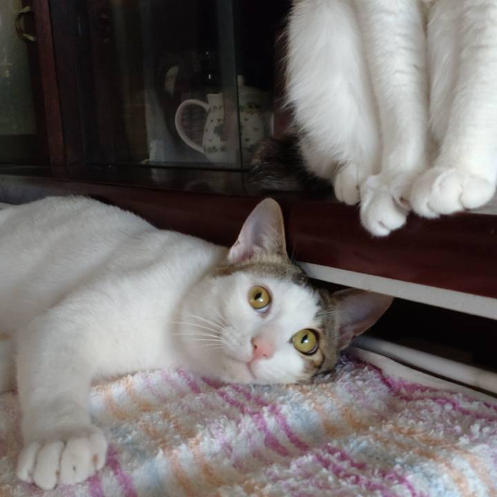 169a01da e082 47b2 a996 68b0d2b35706 1651444448070