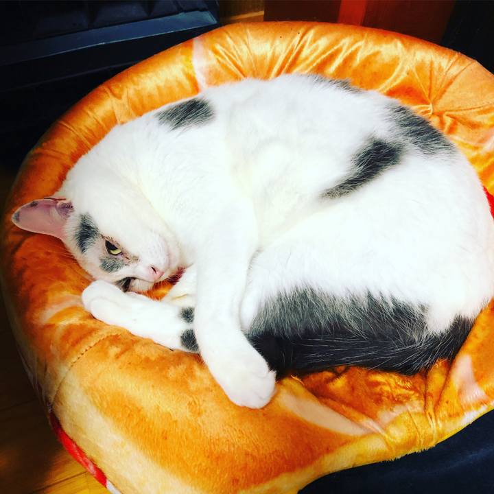 169a081d 550a 4edd a6ca 2d9c4fade767 1612790752572