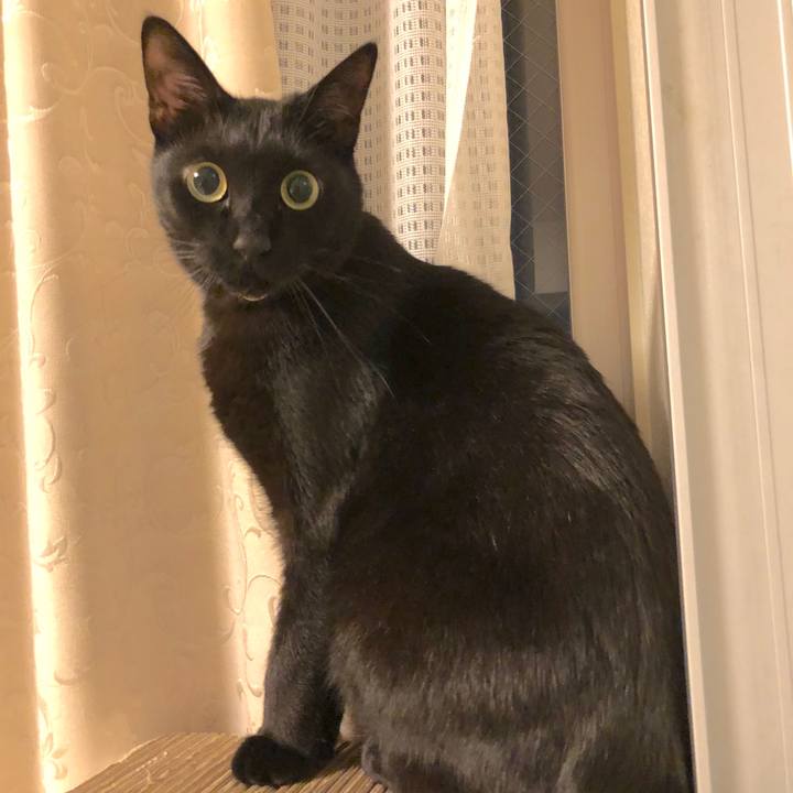 169a2ab5 d965 4ad6 b867 9c3c0fc0a3b2 1523883360818