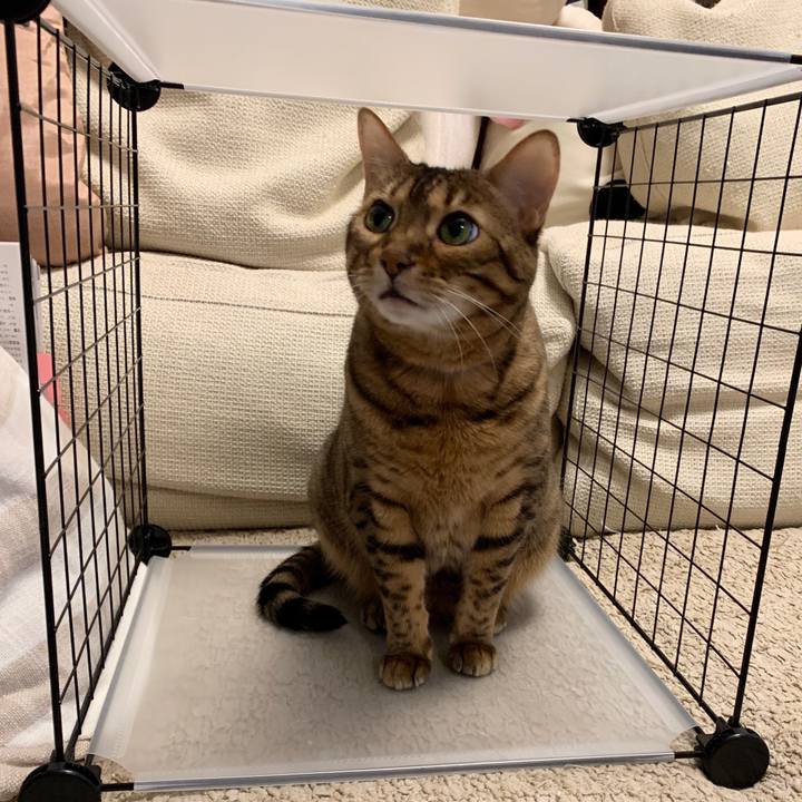 169a3f21 3ebc 43bb 8477 4380d12a6dcd 1588719978173