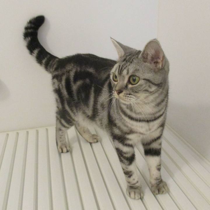 169a44eb 22a4 4b56 9f1f 43b5c9eb653b 1572054604920