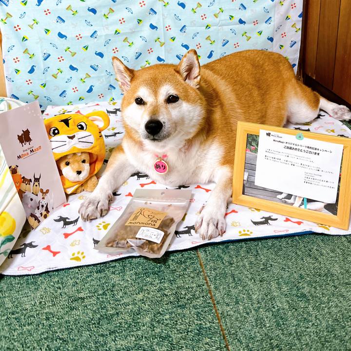 169a4f79 189c 494e b80a 84da4cf43044 1660707859403