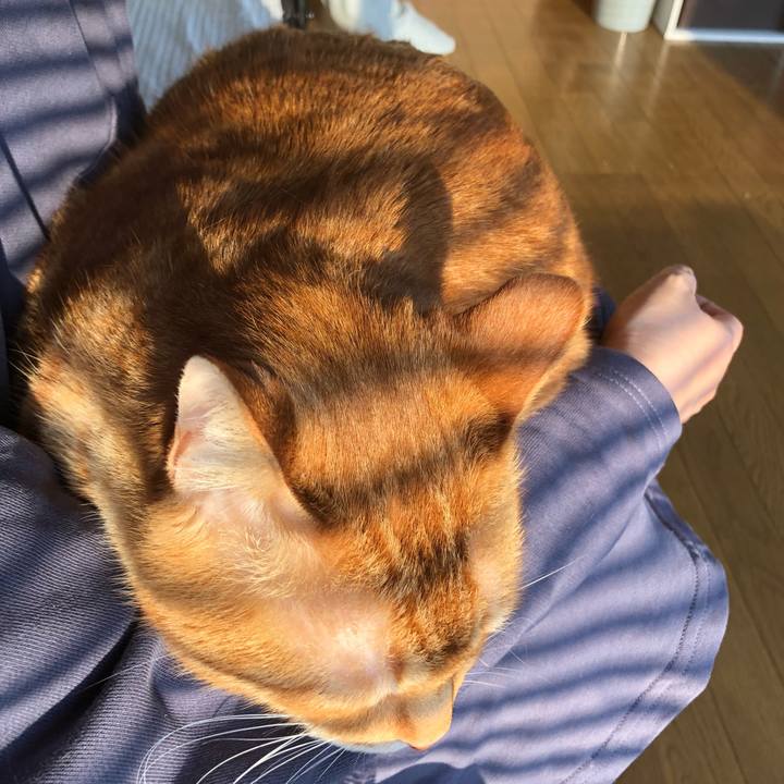 169a741a 67a4 426a 91bb a6aba251388c 1650402853499