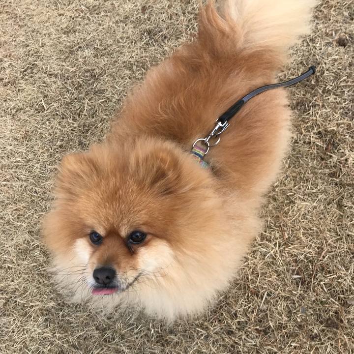 169aad7d 13f1 497f 827d cf58f2a69027 1518261238959