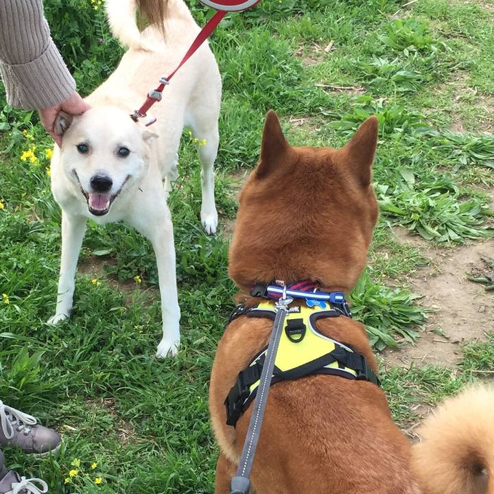 169aca95 f5eb 460e 8729 551cedfadbf6 1617511818991