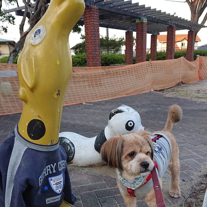 169ae5f8 44f0 49d8 8703 46ea94f9fa5b 1585056164424