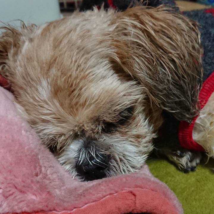 169ae9b0 4f11 4b91 a590 bea79de7ae7a 1521037665899