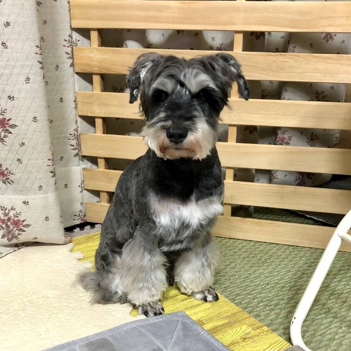 169af2a0 01fb 408e 87ed 55e72c532cee 1648736174836