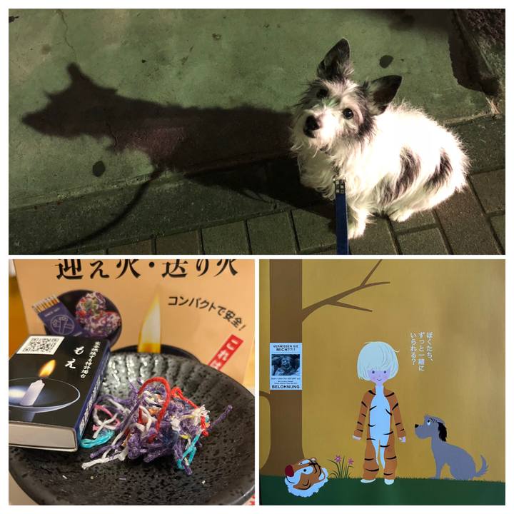 169b25dd 60c6 4ded a846 f1efdda84e9b 1692188807775