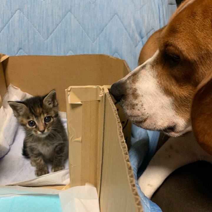 169b4b58 5d29 4ee6 9214 5ac5a7d765f6 1557324444000