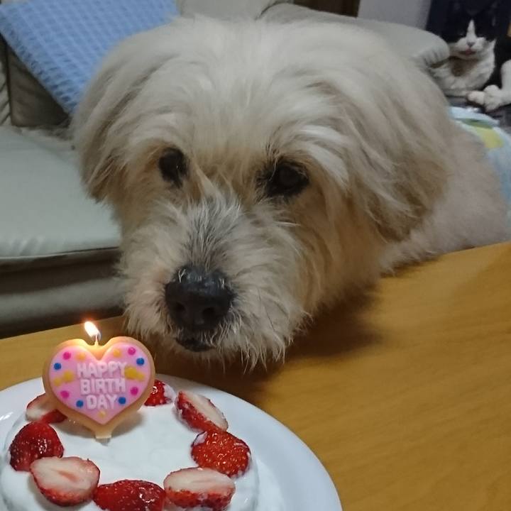 169b63cd eb65 437b b858 79de2242fecb 1582108103110