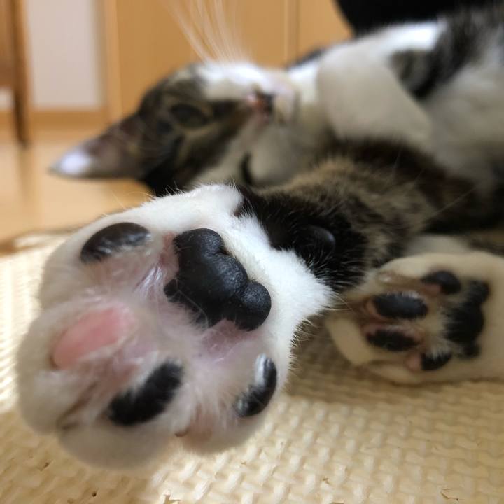 169b6f6b 23d0 4158 a8be 31e575ce435e 1515219564973