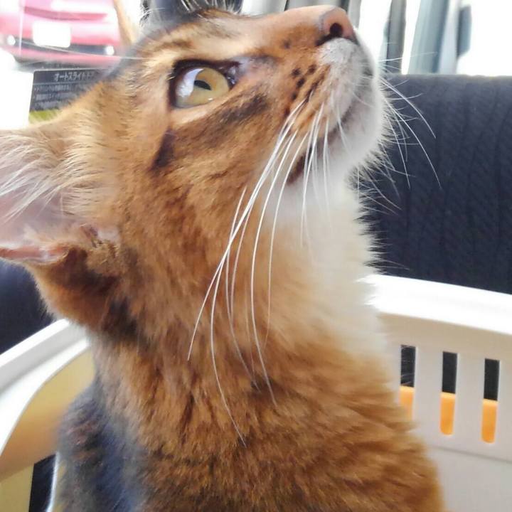 169b93c1 d0e7 4ecb 95dc 86feef058a8c 1573307946954