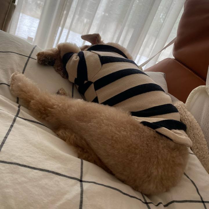 169bb52a 7344 4ba8 9f56 d2a0c7ed58d2 1644482792601