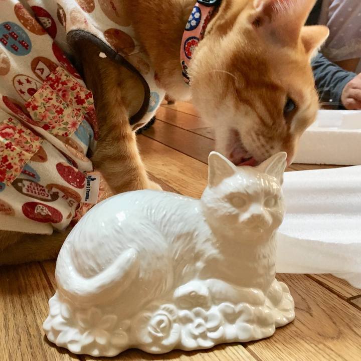 169bc5c4 8523 4956 9cc2 9c83128ec69b 1519456541992