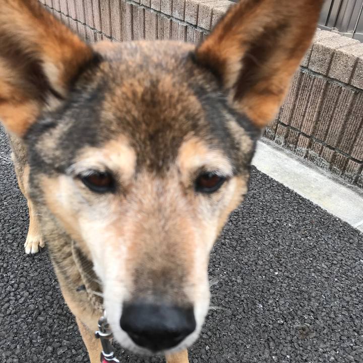 169bd13a 0bb9 4853 a4d3 a5fb6eefb378 1527465906730