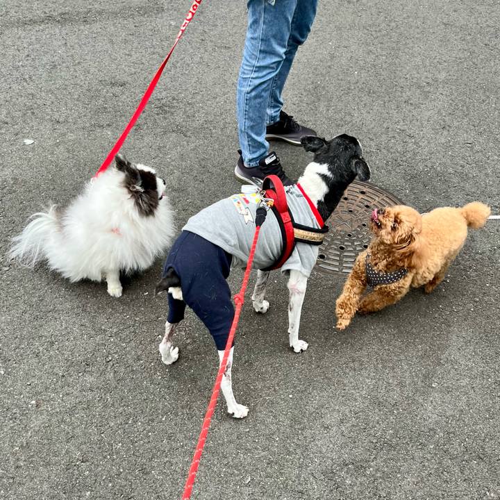 169be58c bb52 450c 841a 881d82b1f767 1653124684486