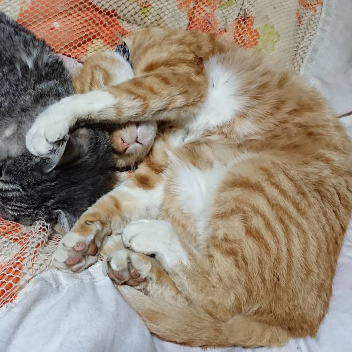 169c85e6 fc5f 4967 9f68 f77e01188e45 1574601925021