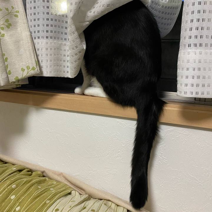 169c88a8 1c9e 4851 89a9 e4046f1b27a4 1690634261175