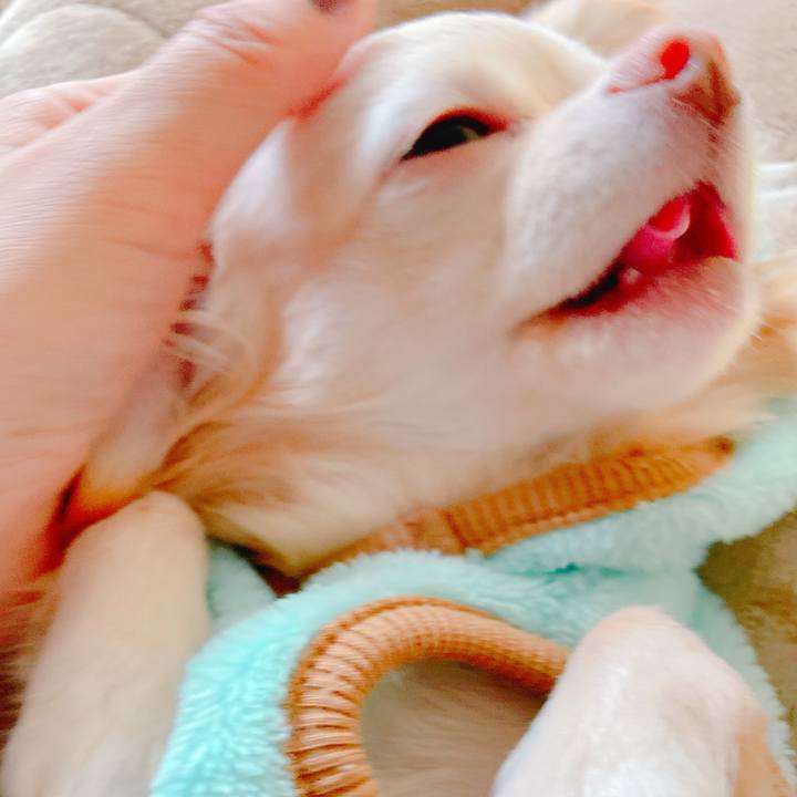 169ca069 b7bf 4756 9002 be058884a8bb 1636369146795