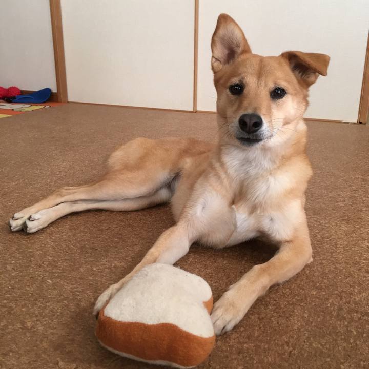 169cd03e b15c 412f a3f7 cd31e0565fd4 1547168596457