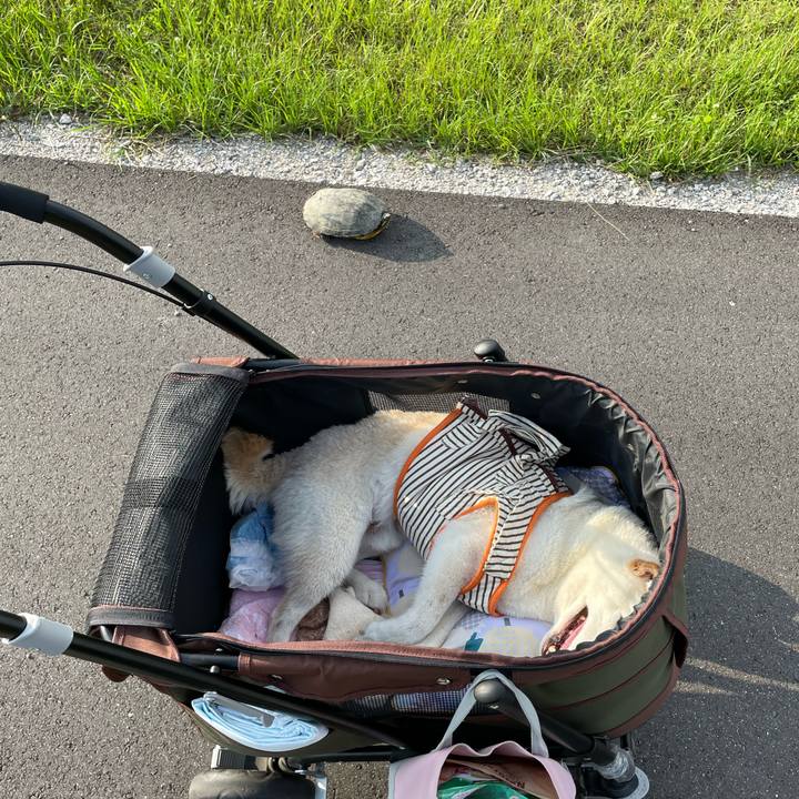 169cda7f 9d46 4f6a ae3f 42f2acbdb3b4 1655903893363