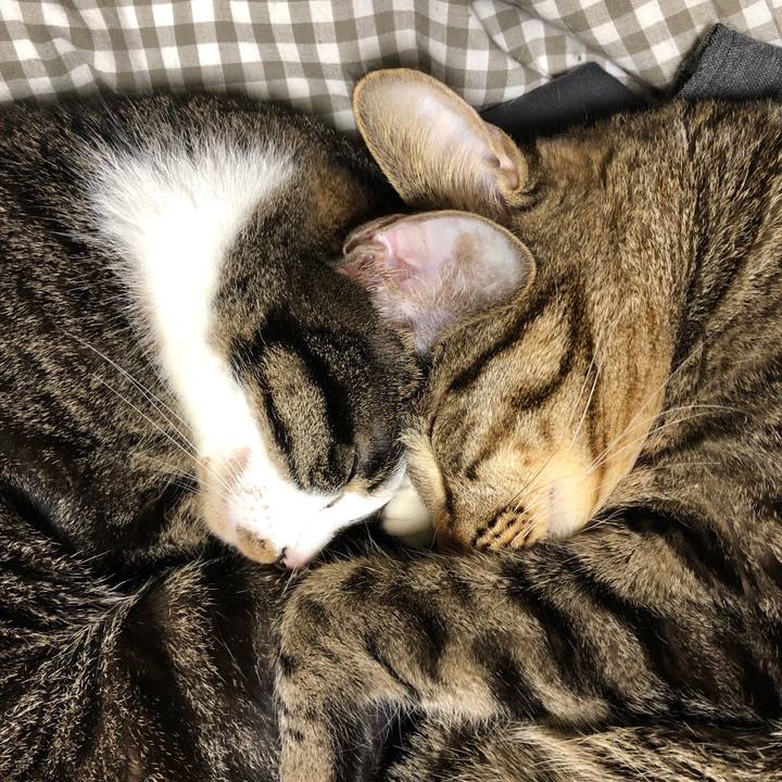 169d0c19 852e 4de5 a53a bc0a271eb981 1520610057360