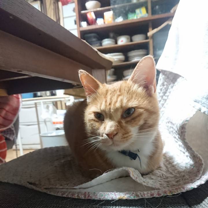 169d5aa2 f14f 405c 9949 9a9d1bb7dfe6 1604953686182