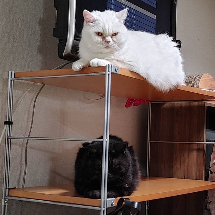 169d5ace 8761 4594 8a4d b34694f6419e 1637147148736