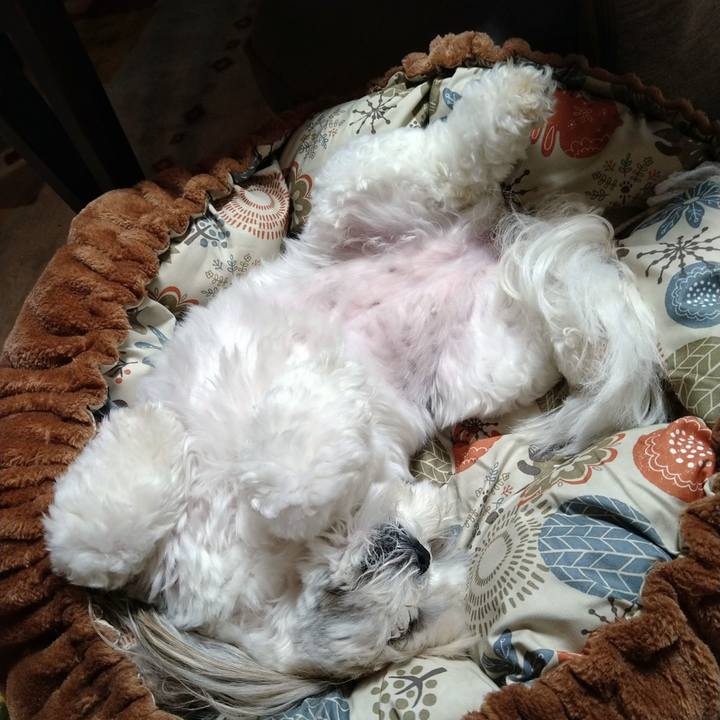 169d7aab a2e3 499a b807 783c234ae1b9 1654517309294