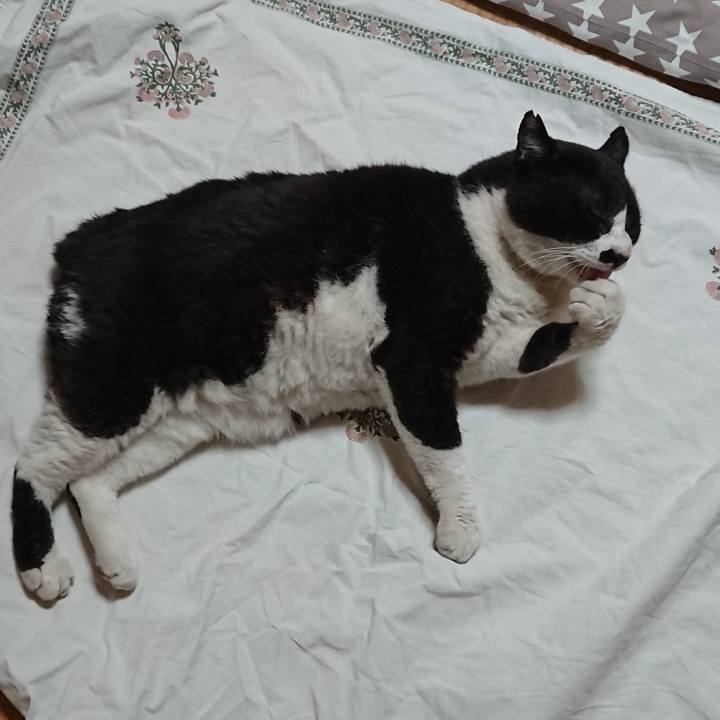 169db5a0 0b6e 44dc 9a95 d580ce01e876 1656239239695