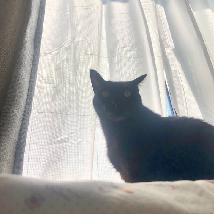 169dc1ad 2d0f 447b 8cfb 947a7ef4e5dd 1619578560363