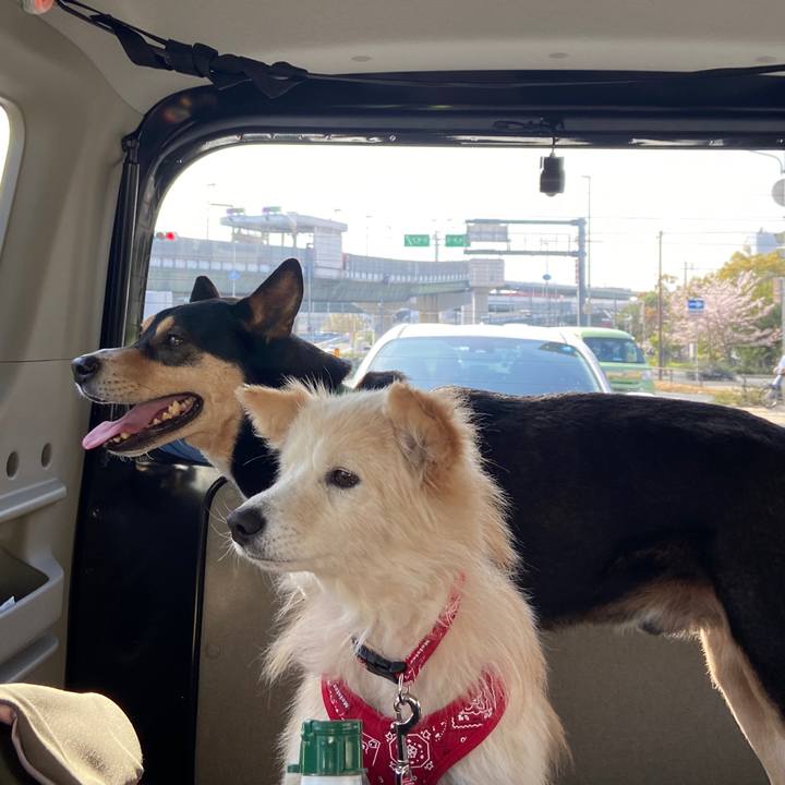 169dceb9 c4cd 4054 abe9 f89a33a9a63a 1649204704936