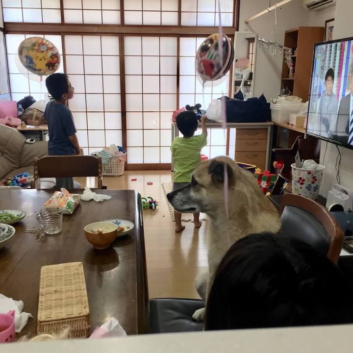 169dd124 20b2 47e4 9c3a 238e9b327790 1531717510806