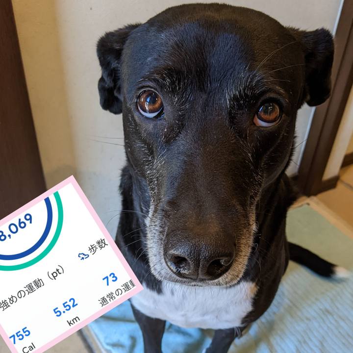 169df18e 9ead 4c65 b839 cfadf315efa6 1708998130210