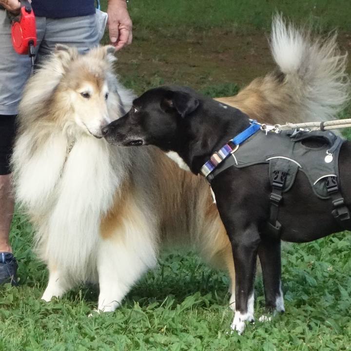 169e1d7e 8267 4795 8202 ec94de5c007e 1659226657072