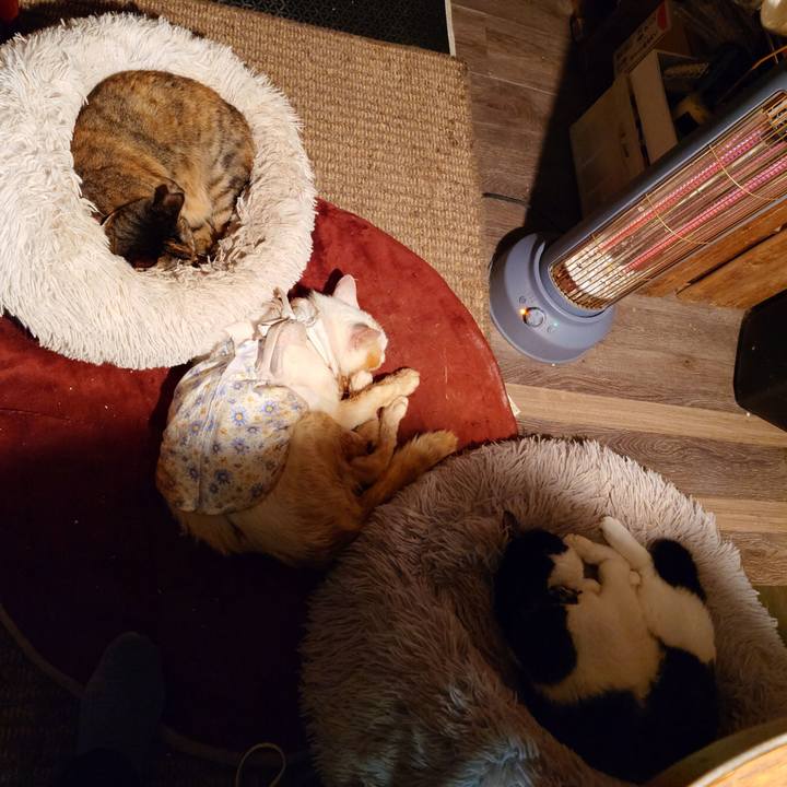 169e7b69 63ff 4e3e 9962 3931b4f264ab 1764074826170