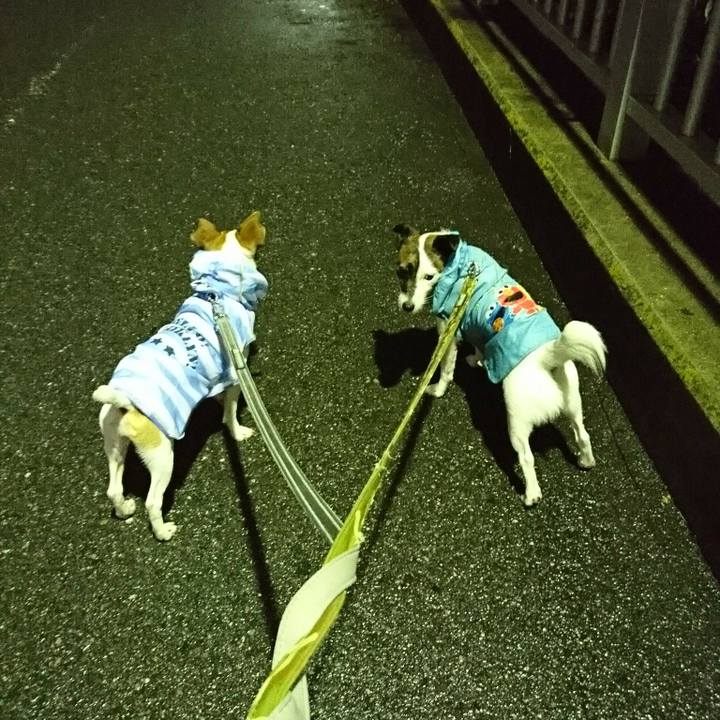 169e8158 2b6e 4798 8a34 de7aa16a50be 1528282518689