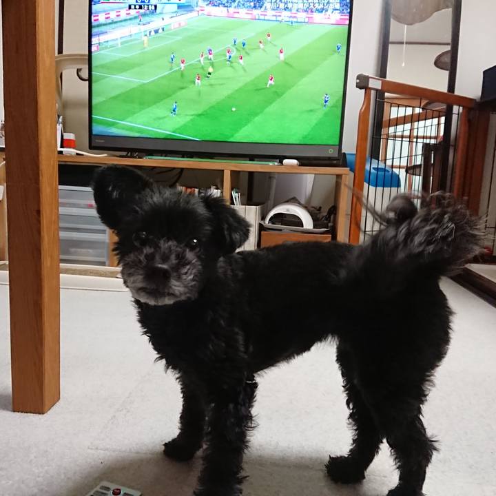 169e861f 0f61 434e 8839 072477d37623 1553597303702