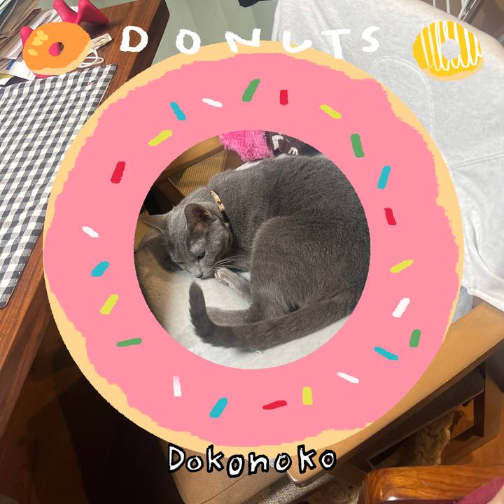 169e9f95 57e8 43b2 aa62 a590c359b802 1744275997947