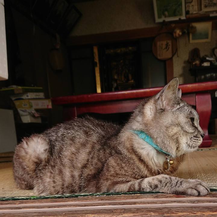 169eb852 224e 4c61 b4e7 37a4548cb2d5 1567814879689