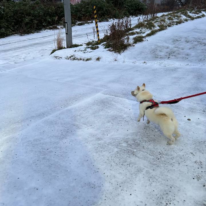 169ec6eb 8e00 427a aeac 9a870a5fa4fa 1701989885560