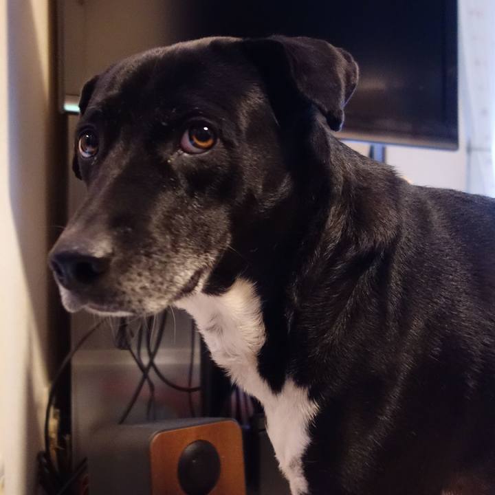 169efddf 7e72 4897 ac65 41f59c3482c3 1677803404702