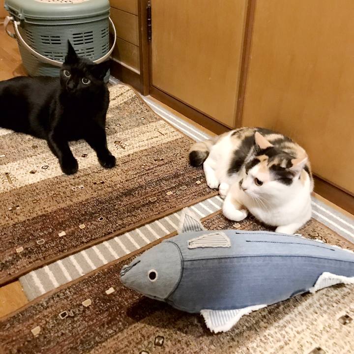 169f6b54 0a4c 4cd2 817e e45221a2ad61 1537416846875