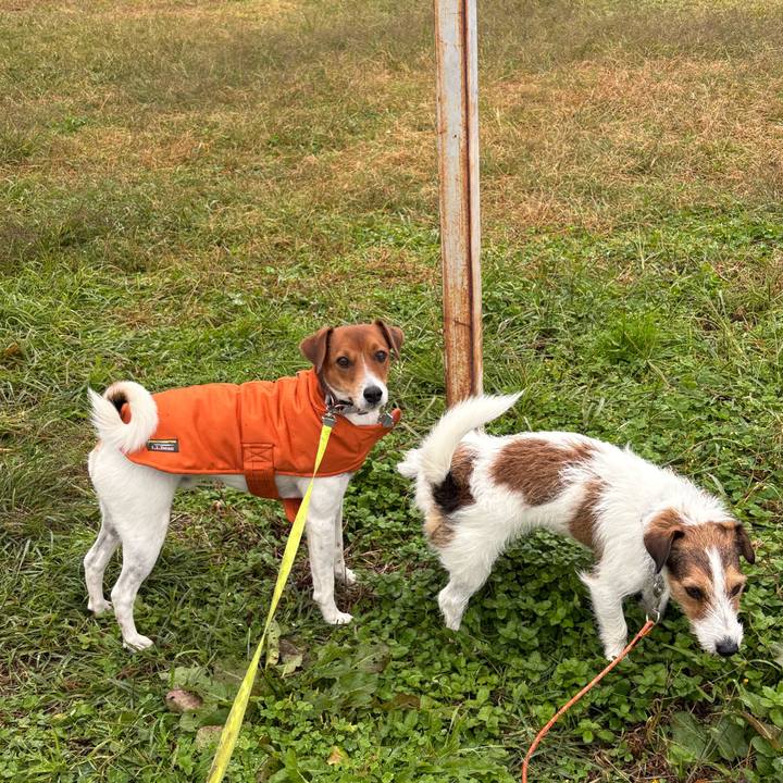 169f7825 8cb2 469f 8521 218aae87278a 1762676854363