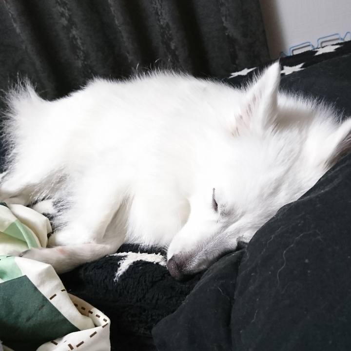 169f8f4e a2e1 4c42 838f 761d7d3ce0e8 1530382075657