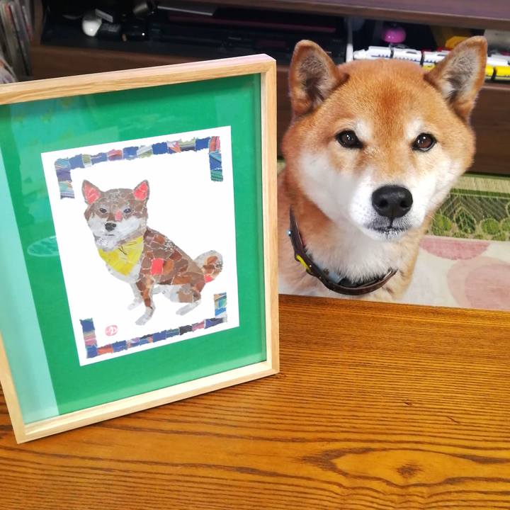 169f9435 380d 439f 9abb 251a6bd16229 1644280029935