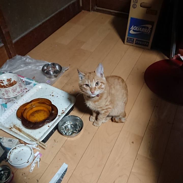 169faf93 727a 48a1 b268 c036ca65c22b 1634935481355