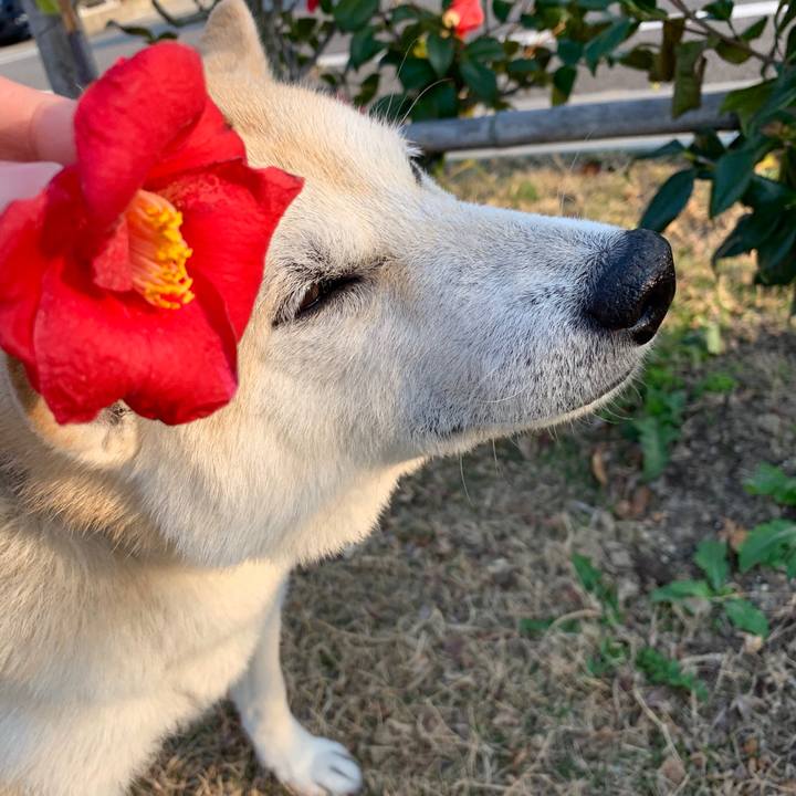 169fb278 df0e 4d33 87df 6a0415d00218 1554943810559