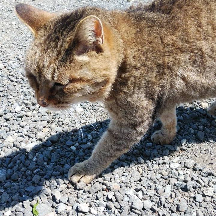 169fcc5a e3f9 4365 a8c4 f24ebd8252ff 1618833811954